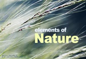 Elements Of Nature